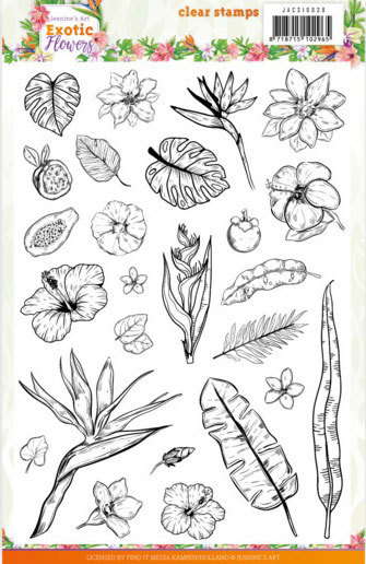 Clear Stamps - Jeanine's Art - Exotic Flowers