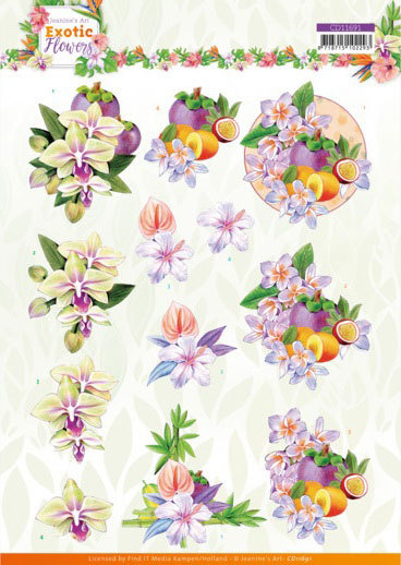 3D Knipvel - Jeanine's Art - Exotic Flowers - Purple Flowers