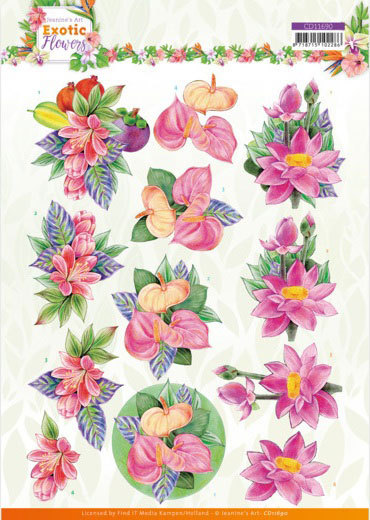 3D Knipvel - Jeanine's Art - Exotic Flowers - Pink Flowers
