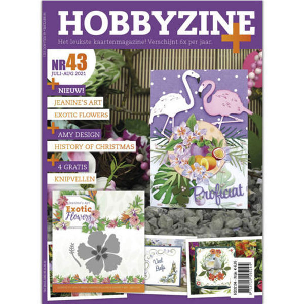 Hobbyzine Plus 43